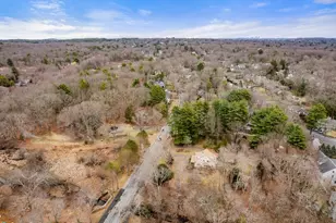 53 Elmwood Rd, Wellesley, MA 02481 - Photo 8