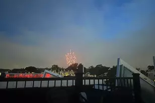 25 Robey St, Boston, MA 02119 - Photo 30