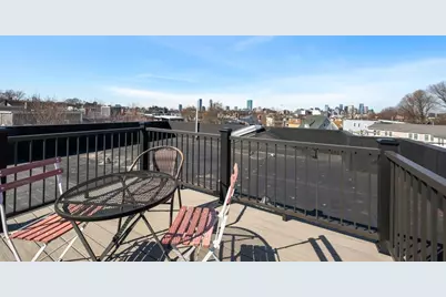 25 Robey St #25, Boston, MA 02119 - Photo 32