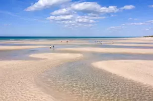 69 Horsefoot Path, Dennis, MA 02638 - Photo 6