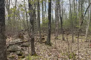 11-L New Athol Rd, Petersham, MA 01366 - Photo 1