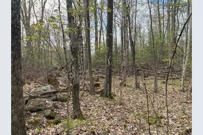 11-L New Athol Rd, Petersham, MA 01366 - Photo 2