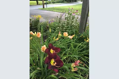 142 Abbott St, North Andover, MA 01845 - Photo 28