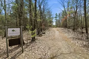 14 Salisbury St, Grafton, MA 01519 - Photo 40