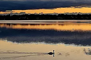 24 G Hideaway Rd, Bourne, MA 02532 - Photo 8