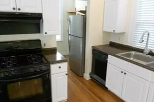 16 Holbrook St, Boston, MA 02130 - Photo 8