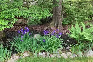 20 Talcott Rd, Easton, MA 02356 - Photo 14