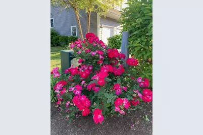 20 Talcott Road #20, Easton, MA 02356 - Photo 16