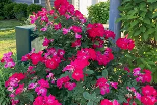 20 Talcott Rd, Easton, MA 02356 - Photo 16