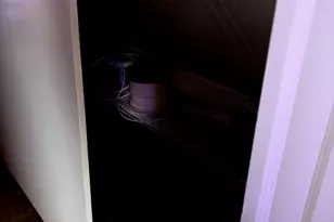 28 Vernal, Everett, MA 02149 - Photo 22