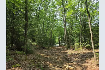 37 N Farms Rd, Williamsburg, MA 01039 - Photo 4