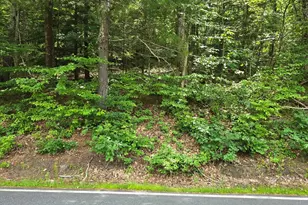 37 N Farms Rd, Williamsburg, MA 01039 - Photo 1