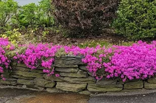 60 Bay Rd, Belchertown, MA 01007 - Photo 4