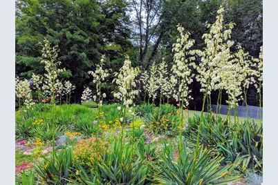 60 Bay Rd, Belchertown, MA 01007 - Photo 30