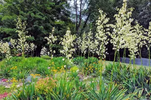 60 Bay Rd, Belchertown, MA 01007 - Photo 30