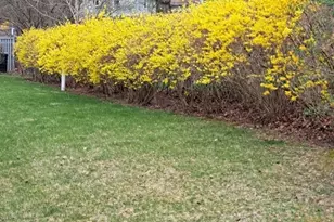 60 Bay Rd, Belchertown, MA 01007 - Photo 32