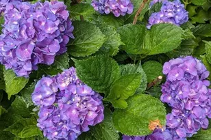 60 Bay Rd, Belchertown, MA 01007 - Photo 34