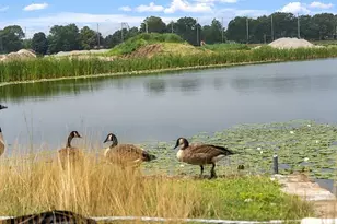 4 Cypress Cir, Bellingham, MA 02019 - Photo 28