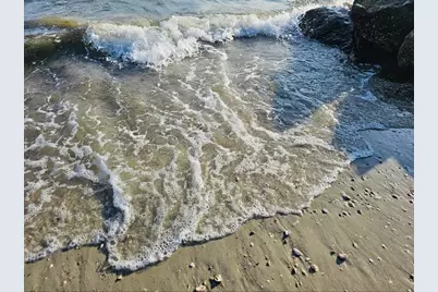 19 Maple Street, Wareham, MA 02532 - Photo 42