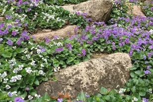 918 Hale St, Beverly, MA 01915 - Photo 36