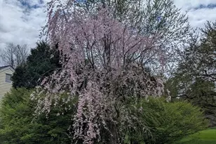 26 John Edward Dr, Northborough, MA 01532 - Photo 38