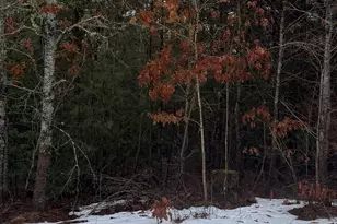 52 Cedar Dr, Carver, MA 02330 - Photo 2