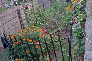 40 Ames St, Worcester, MA 01604 - Photo 6