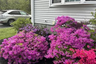 5 W Main St, Hopkinton, MA 01748 - Photo 36