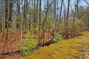 139 Wolomolopoag St, Sharon, MA 02067 - Photo 36