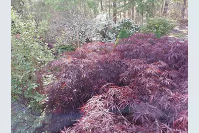 34 Polaris Dr, Mashpee, MA 02649 - Photo 36