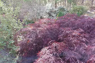 34 Polaris Dr, Mashpee, MA 02649 - Photo 36