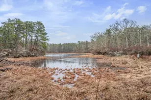 1157 Orleans-Harwich, Harwich, MA 02645 - Photo 30