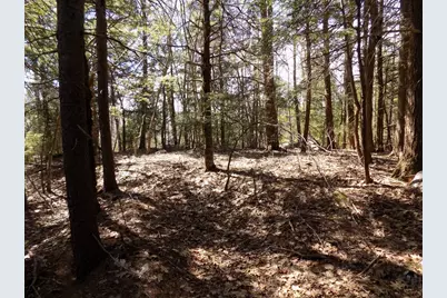 Lot 7 Skyline Ridge Rd., Becket, MA 01223 - Photo 10