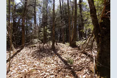 Lot 7 Skyline Ridge Rd., Becket, MA 01223 - Photo 8