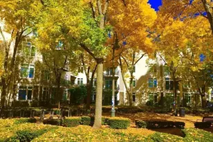 7 Cameron, Cambridge, MA 02140 - Photo 4