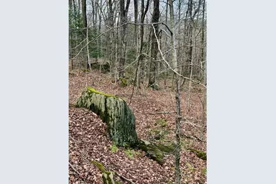 0 Parish Road, Worthington, MA 01098 - Photo 14