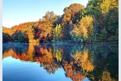 95 Landseer #1, Boston, MA 02132 - Photo 34