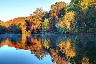 95 Landseer, Boston, MA 02132 - Photo 34