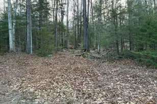 5 Leshure Rd, Rowe, MA 01367 - Photo 1