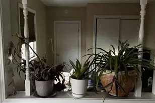 18 Carlisa Dr, Fall River, MA 02723 - Photo 28