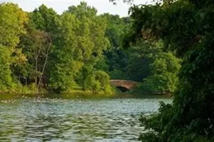 33 Pond Ave, Brookline, MA 02445 - Photo 24