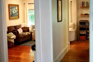 53 Walter, Boston, MA 02131 - Photo 12