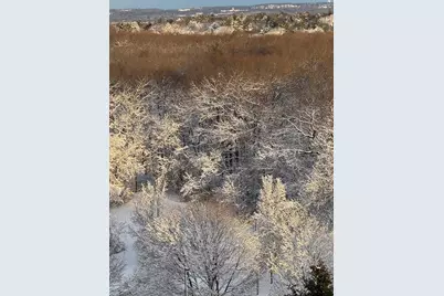 250 Hammond Pond Parkway #1406N, Newton, MA 02467 - Photo 34