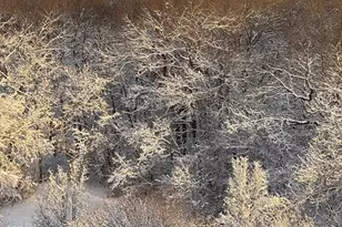 250 Hammond Pond Pkwy, Newton, MA 02467 - Photo 34