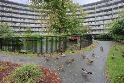 200 Swanton St #538, Winchester, MA 01890 - Photo 10