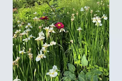 16 Burnham Road, Wenham, MA 01984 - Photo 40