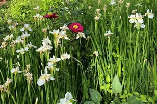 16 Burnham Rd, Wenham, MA 01984 - Photo 40