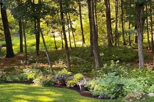 24 Robin Rd, Norfolk, MA 02056 - Photo 40