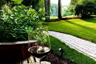 24 Robin Rd, Norfolk, MA 02056 - Photo 4