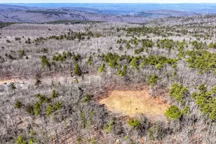 41 Bear Mountain Rd, Wendell, MA 01379 - Photo 8